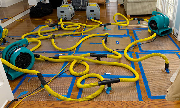 Professional Structural Drying And Dehumidification technician working in Taft, TN